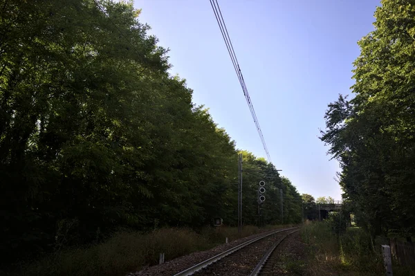 日没のイタリアの町の木々によって囲まれたヘッドケーブルの上の鉄道 — ストック写真