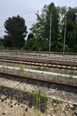 İtalya kırsalında bulutlu bir günde ağaçlarla çevrili boş demiryolu.