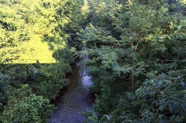 Gün batımında İtalya kırsalında ağaçlarla çevrili ve etrafı suyla çevrili.