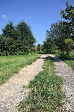İtalya 'nın kırsal kesimlerinde güneşli bir günde kıyılarında ağaçlar olan bir su deresinin yanındaki toprak yol.