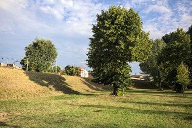 Gün batımında bir italyan kasabasının parkındaki bir toprak yığınının yanında kavak ağacı.