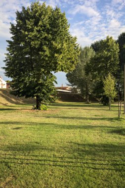 Gün batımında bir italyan kasabasının parkındaki bir toprak yığınının yanında kavak ağacı.