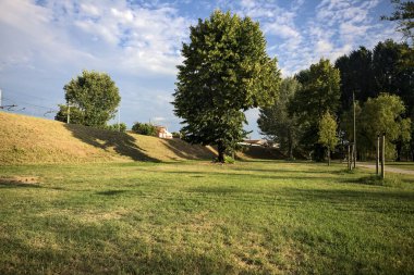 Gün batımında bir italyan kasabasının parkındaki bir toprak yığınının yanında kavak ağacı.