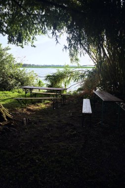 Gün batımında göl kıyısındaki ağaçların altındaki banklar ve masalar.
