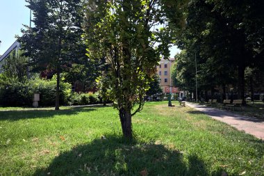 Güneşli bir günde, İtalya 'da bir yerleşim yerinin küçük ve boş bir parkında çakıl yolu.