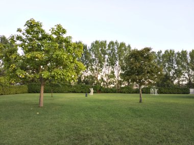 Gün batımında budanmış çalılarla çevrili bir bahçede gol skorları ve ağaçlar