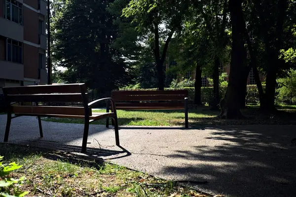 Bänke Auf Einem Weg Schatten Einem Park — Stockfoto
