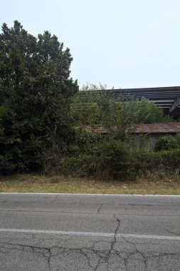 İtalya kırsalındaki terk edilmiş fabrika ağaçlarla çevrili ve yağmurdan önce bulutlu bir günde yolun karşı tarafından görülüyor.