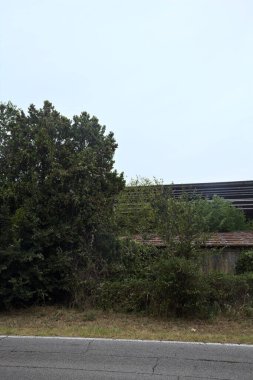 İtalya kırsalındaki terk edilmiş fabrika ağaçlarla çevrili ve yağmurdan önce bulutlu bir günde yolun karşı tarafından görülüyor.