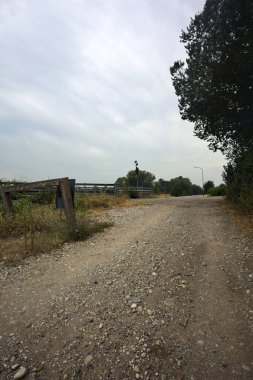 Bir köprünün yanındaki köy yolu ile bir ağacın çerçevelediği bulutlu bir günde toprak yol arasındaki kavşak.