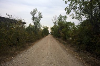 İtalya 'da yağmur yağmadan önce bulutlu bir günde terk edilmiş bir fabrikanın yanındaki ağaçlarla çevrili toprak yol.