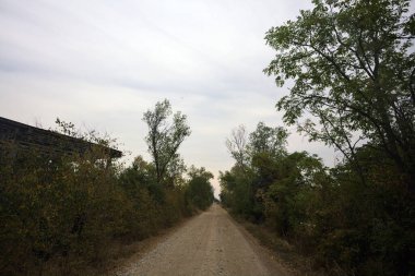 İtalya 'da yağmur yağmadan önce bulutlu bir günde terk edilmiş bir fabrikanın yanındaki ağaçlarla çevrili toprak yol.