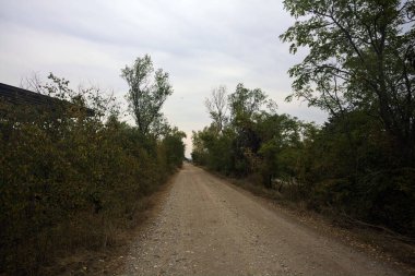 İtalya 'da yağmur yağmadan önce bulutlu bir günde terk edilmiş bir fabrikanın yanındaki ağaçlarla çevrili toprak yol.