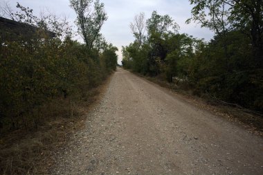 İtalya 'da yağmur yağmadan önce bulutlu bir günde terk edilmiş bir fabrikanın yanındaki ağaçlarla çevrili toprak yol.