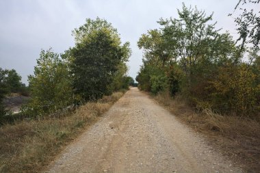 Bulutlu bir günde, İtalya 'nın kırsal kesimlerinde yağmur yağmadan önce ağaçlarla çevrili toprak bir yol.