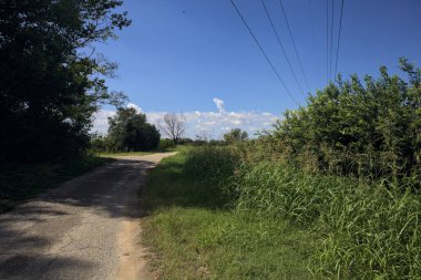 Güneşli bir günde, bir mısır tarlasının ve sulama kanalıyla çevrili bir koruluğun yanında yıpranmış kır yolu.