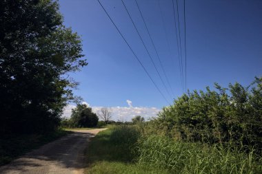 Güneşli bir günde, bir mısır tarlasının ve sulama kanalıyla çevrili bir koruluğun yanında yıpranmış kır yolu.