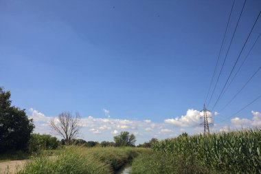 Güneşli bir günde, bir mısır tarlasının ve sulama kanalıyla çevrili bir koruluğun yanında yıpranmış kır yolu.