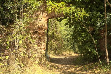 İtalya 'nın kırsalında güneşli bir günde, ormanın ortasında terk edilmiş bir kalenin tuğla duvarındaki kemer.