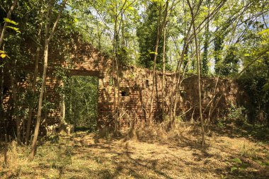 İtalya 'nın kırsalında güneşli bir günde, ormanın ortasında terk edilmiş bir kalenin tuğla duvarındaki kemer.