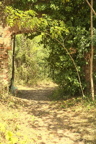 イタリアの田舎の晴れた日に森の真ん中に放棄された要塞のレンガの壁にアーチウェイ — ストック写真