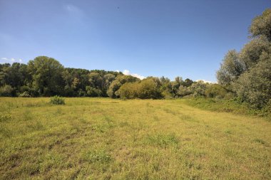 Güneşli bir günde, İtalya 'nın kırsal kesimlerinde bulutlarla dolu bir ormanı temizliyorum.