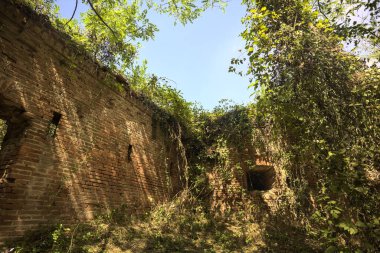 İtalya 'nın kırsalında güneşli bir günde, ormanın ortasında terk edilmiş bir kalenin tuğla duvarındaki kemer.