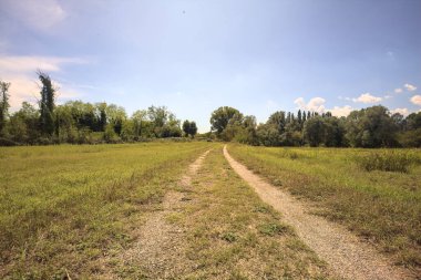 İtalya 'nın kırsal kesimlerinde güneşli bir günde, bir parkın ortasındaki kirli patika.