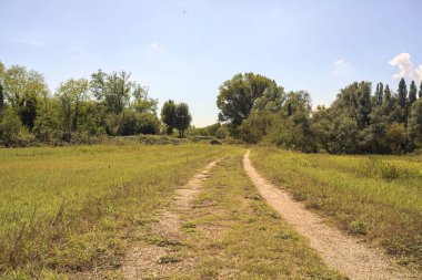 İtalya 'nın kırsal kesimlerinde güneşli bir günde, bir parkın ortasındaki kirli patika.
