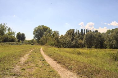 İtalya 'nın kırsal kesimlerinde güneşli bir günde, bir parkın ortasındaki kirli patika.