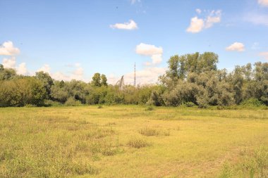 Güneşli bir günde, İtalya kırsalında bir antenle parkta temizlik yapmak.