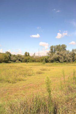 Güneşli bir günde, İtalya kırsalında bir antenle parkta temizlik yapmak.