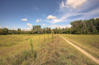İtalya 'nın kırsal kesimlerinde güneşli bir günde, bir parkın ortasındaki kirli patika.