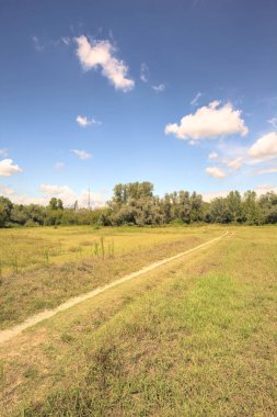 İtalya 'nın kırsal kesimlerinde güneşli bir günde, bir parkın ortasındaki kirli patika.