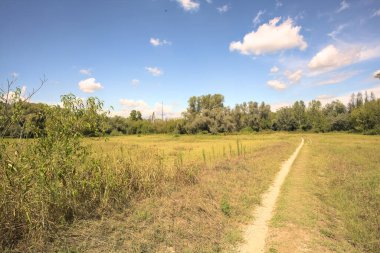 İtalya 'nın kırsal kesimlerinde güneşli bir günde, bir parkın ortasındaki kirli patika.