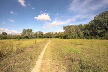 İtalya 'nın kırsal kesimlerinde güneşli bir günde, bir parkın ortasındaki kirli patika.