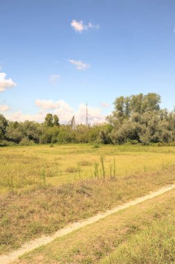 İtalya 'nın kırsal kesimlerinde güneşli bir günde, bir parkın ortasındaki kirli patika.