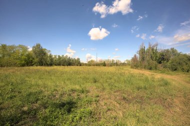Güneşli bir günde, İtalya kırsalında bir antenle parkta temizlik yapmak.
