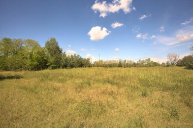 Güneşli bir günde, İtalya kırsalında bir antenle parkta temizlik yapmak.