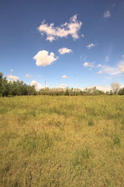 Güneşli bir günde, İtalya kırsalında bir antenle parkta temizlik yapmak.