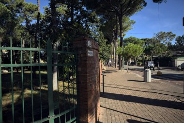 Deniz çam ağaçlarıyla çevrili bir yer ve güneşli bir günde İtalyan kasabasında bir caddenin kenarındaki binaların yanında.