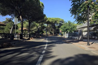 Deniz çam ağaçlarıyla çevrili bir parkta, İtalya 'nın deniz kıyısındaki bir kasabasında, bankların ve şemsiyelerin yanında.