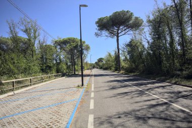 Güneşli bir günde deniz kenarındaki parkta boş bir yol.
