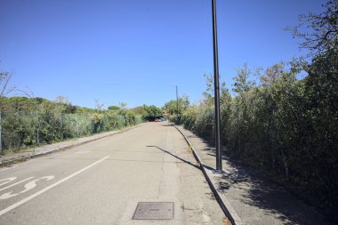 Güneşli bir günde deniz kenarındaki parkta boş bir yol.