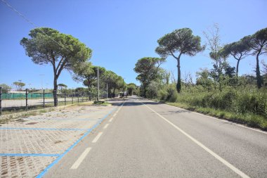 Güneşli bir günde deniz kenarındaki parkta boş bir yol.