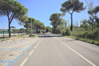 Güneşli bir günde deniz kenarındaki parkta boş bir yol.