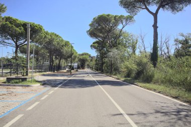 Güneşli bir günde deniz kenarındaki parkta boş bir yol.