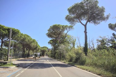 Güneşli bir günde deniz kenarındaki parkta boş bir yol.