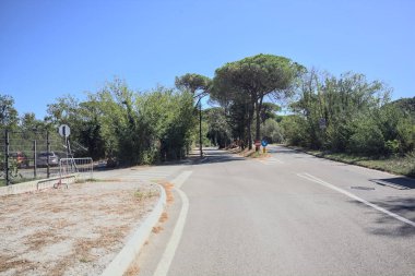 Güneşli bir günde deniz kenarındaki parkta yolları ayırmak.