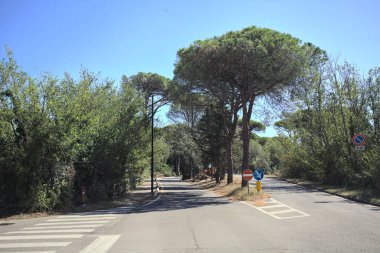 Güneşli bir günde deniz kenarındaki parkta yolları ayırmak.